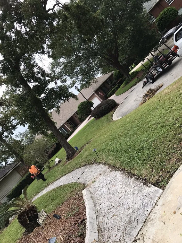 Top-rated outdoor landscaping in Jacksonville, FL by Boss Cutz Lawn Service