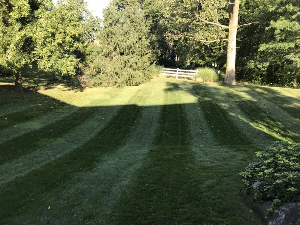 Affordable outdoor landscaping experts serving Erie, PA - Boss D Landscape