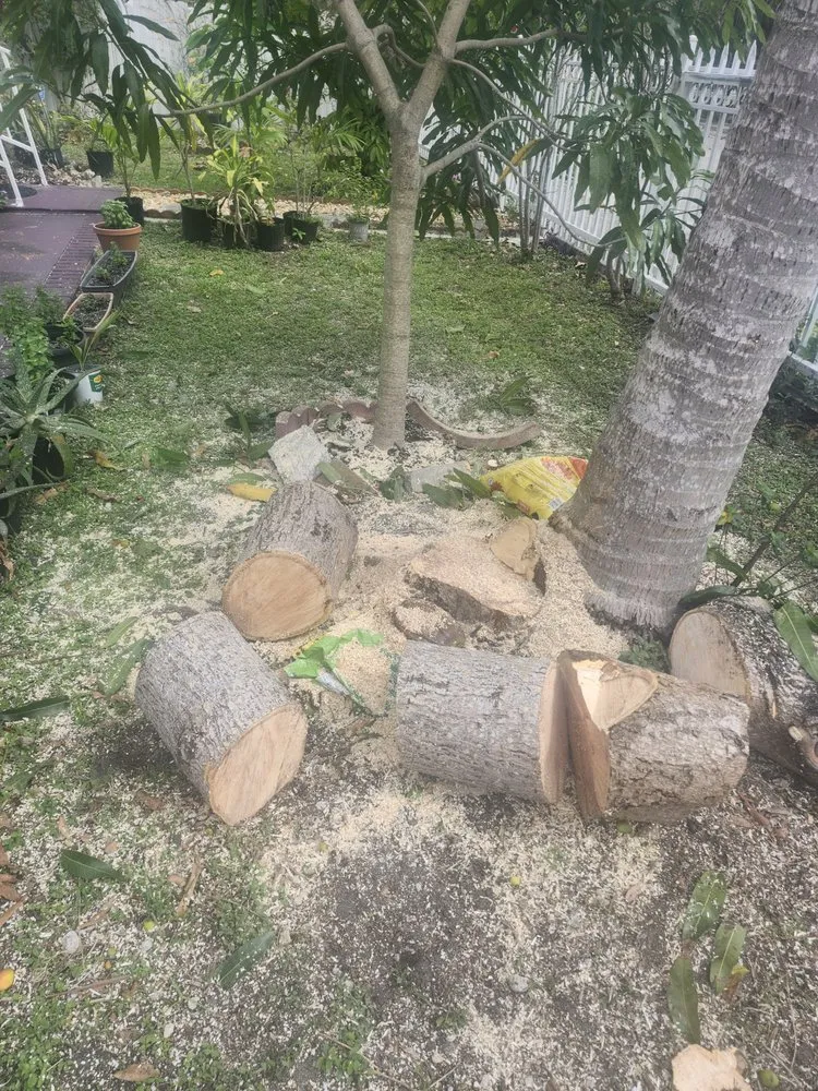 Affordable landscaping services with custom design in Miami, FL by Boss Dodo Landscaping