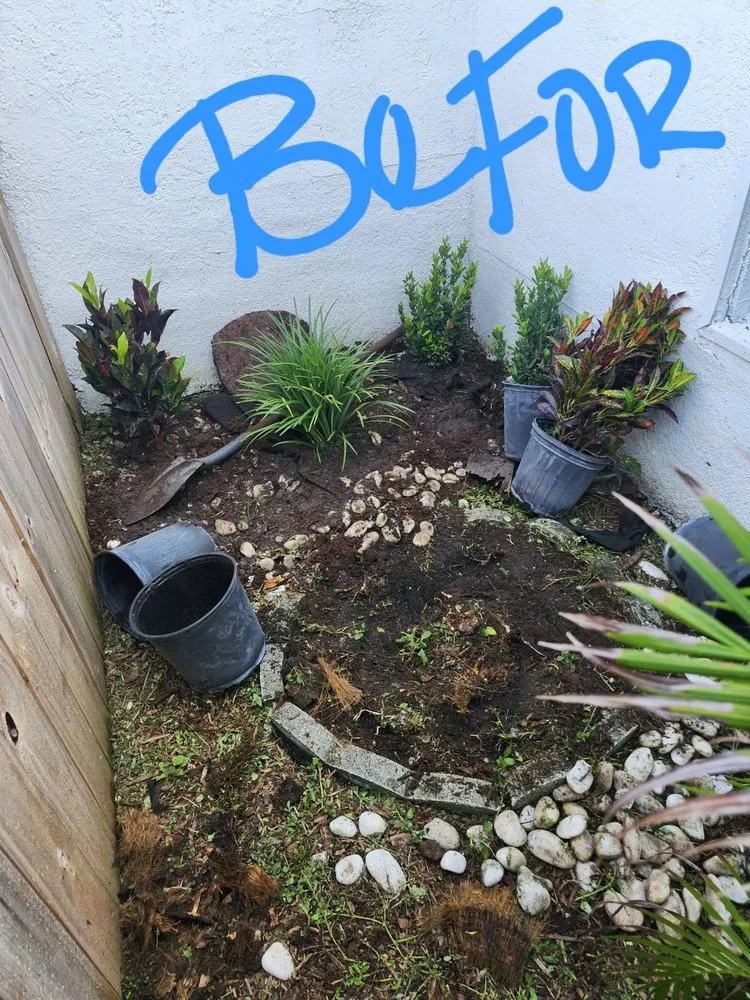 Local landscaping services in Miami, FL - Boss Dodo Landscaping