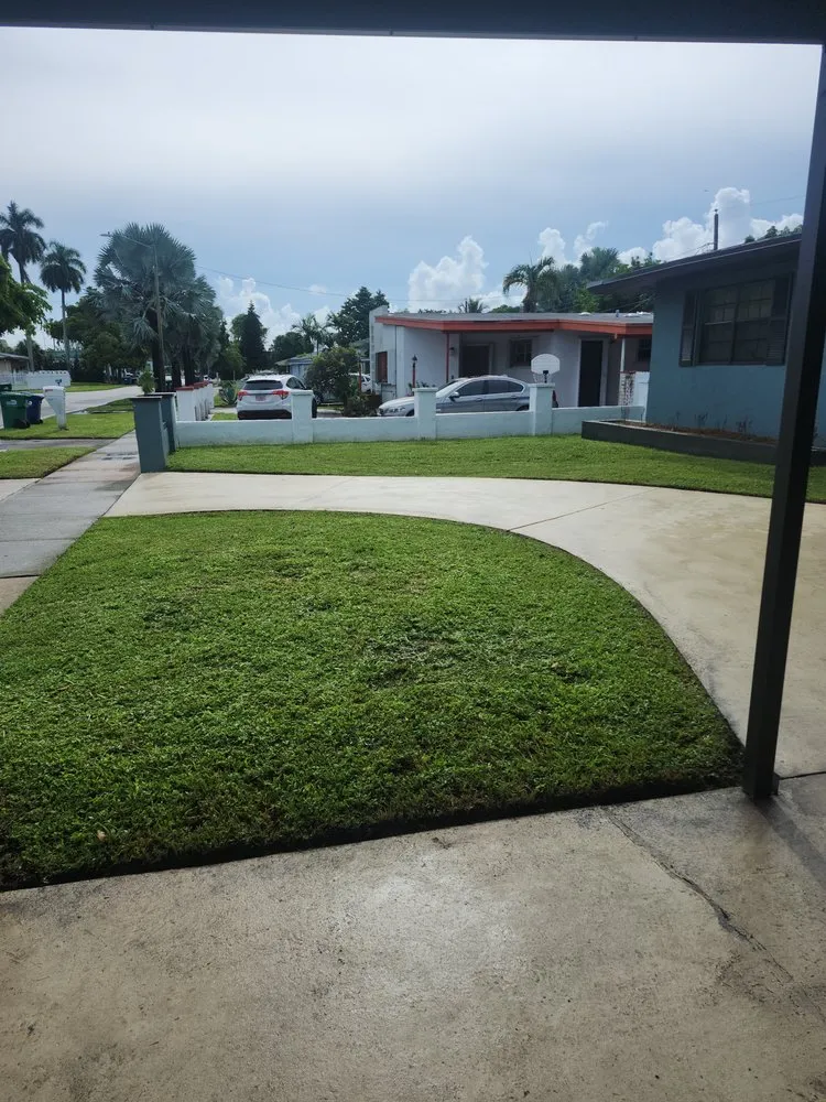 Local yard cleanup service in Miami, FL by Boss Dodo Landscaping