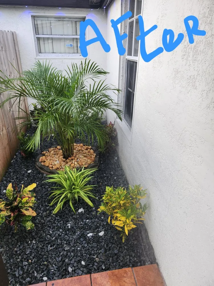 Trusted lawn mowing service experts serving Miami, FL - Boss Dodo Landscaping