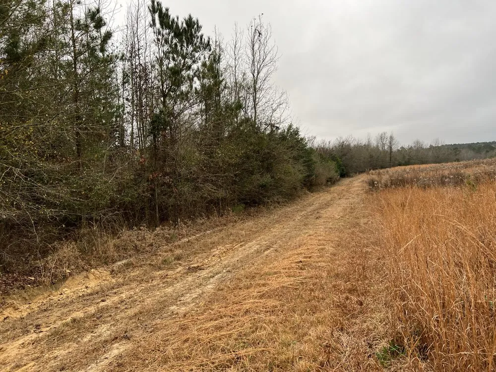 Reliable landscape installation in Hawkinsville, GA - Boss Goss Mulching and Land Service