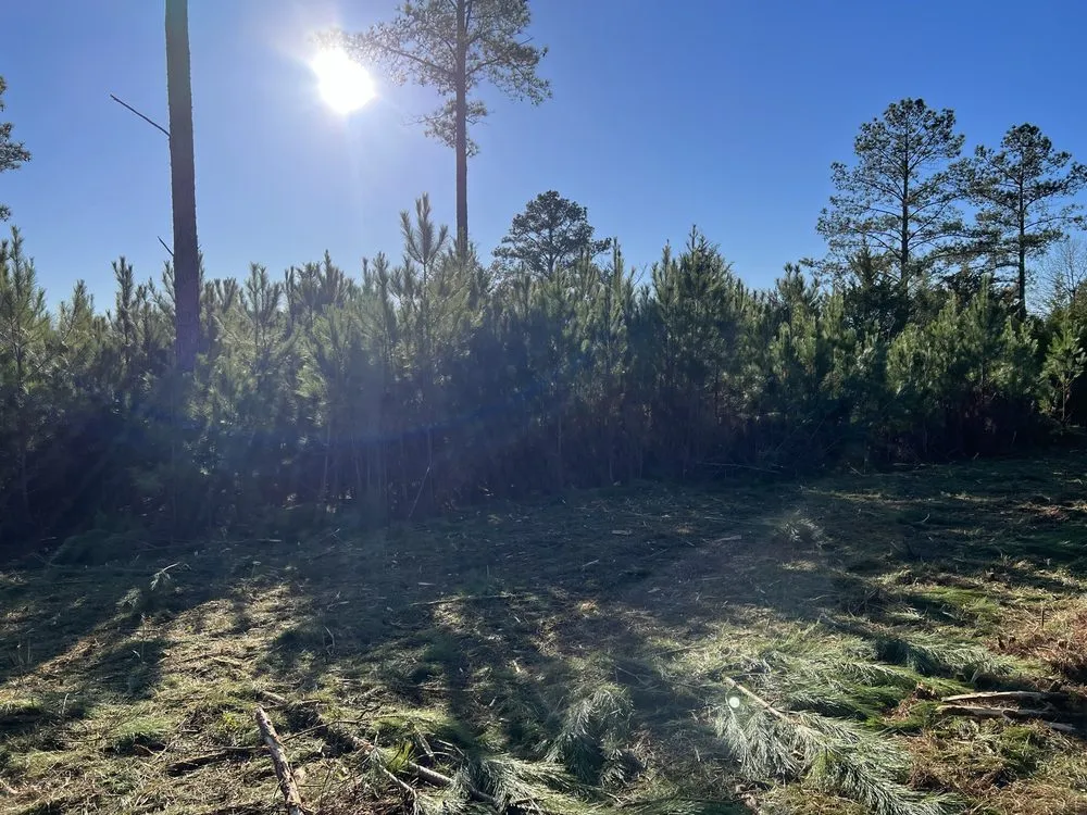 Affordable garden landscaping for homes across Hawkinsville, GA - Boss Goss Mulching and Land Service