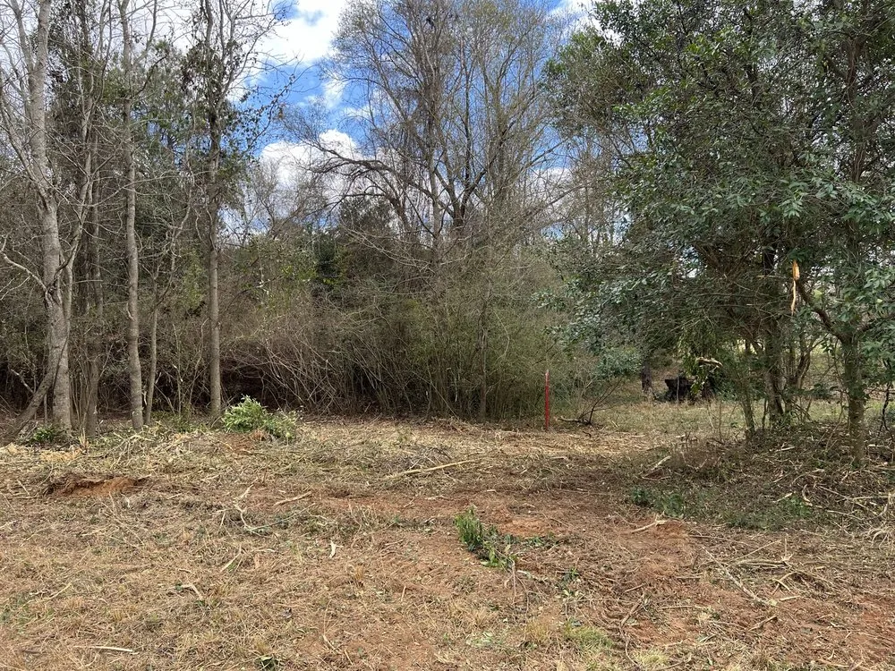 Custom landscape design experts serving Hawkinsville, GA - Boss Goss Mulching and Land Service