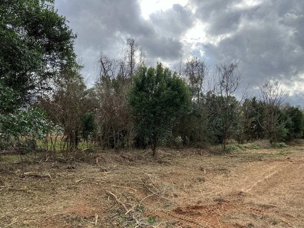 Reliable outdoor landscaping experts serving Hawkinsville, GA - Boss Goss Mulching and Land Service