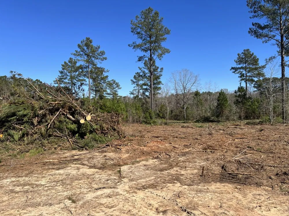 Affordable landscape installation in Hawkinsville, GA by Boss Goss Mulching and Land Service