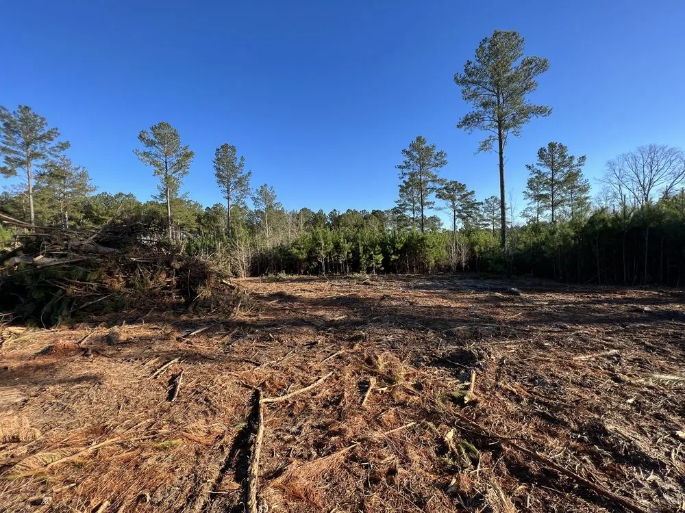 Reliable yard cleanup service near you across Hawkinsville, GA - Boss Goss Mulching and Land Service