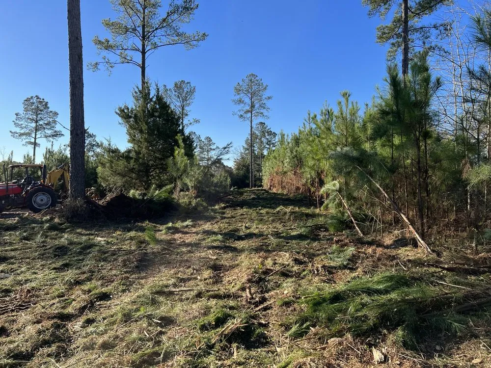 Local landscape design near you in Hawkinsville, GA by Boss Goss Mulching and Land Service