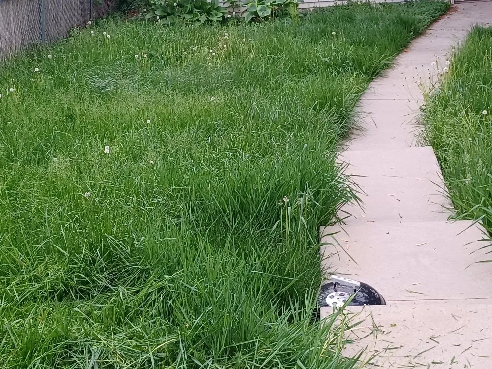 Expert landscape installation in Marion, IA - Boss Hogg Power Washing