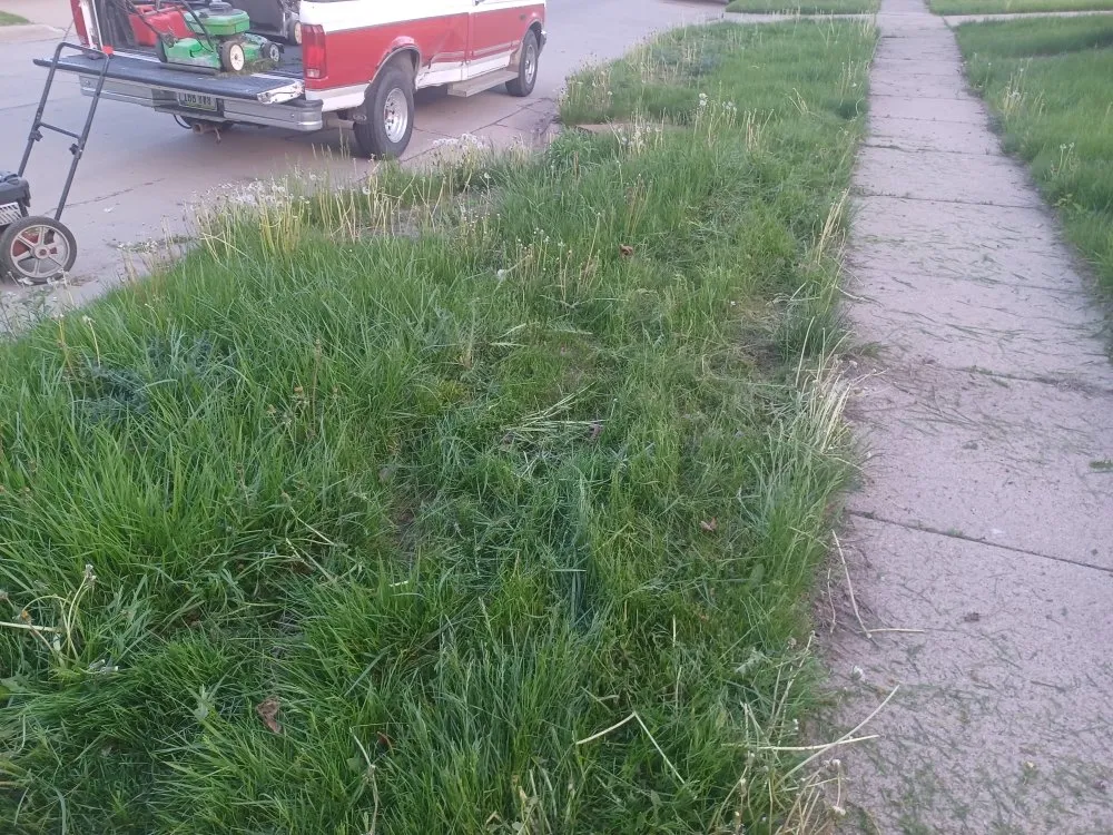 Affordable landscape installation with custom design in Marion, IA by Boss Hogg Power Washing