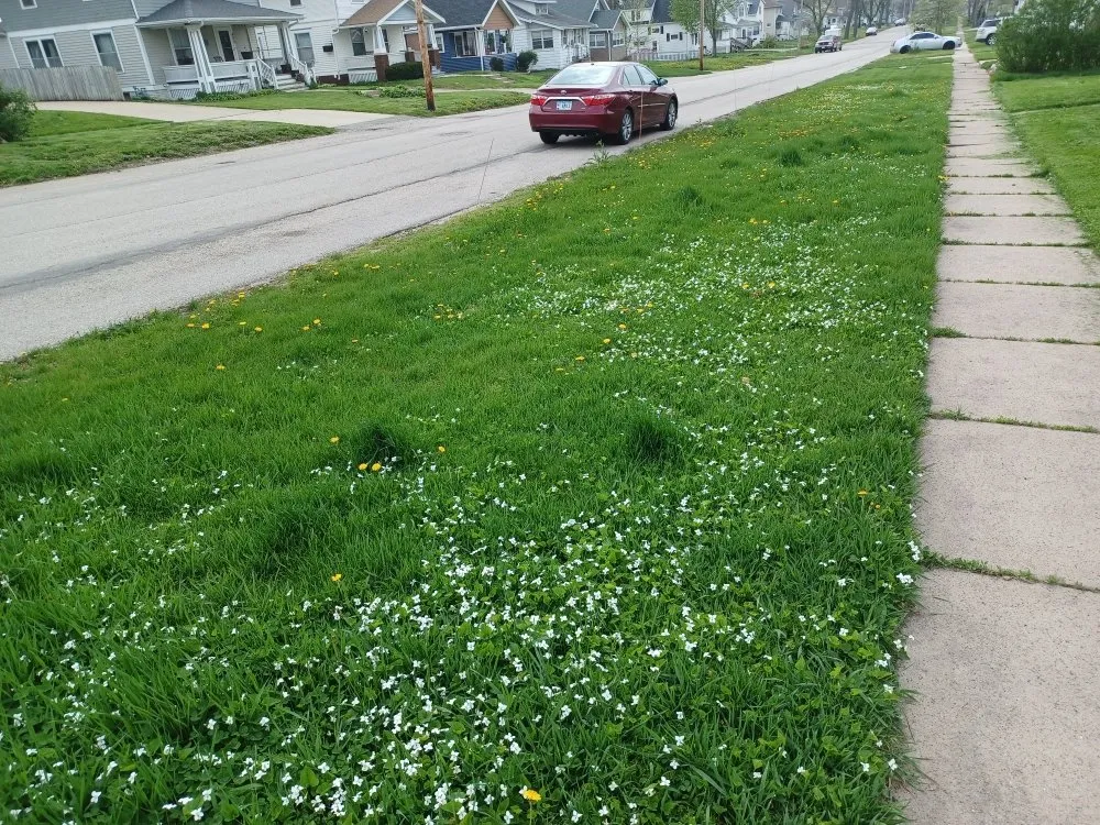 Trusted outdoor landscaping for outdoor upgrades across Marion, IA - Boss Hogg Power Washing