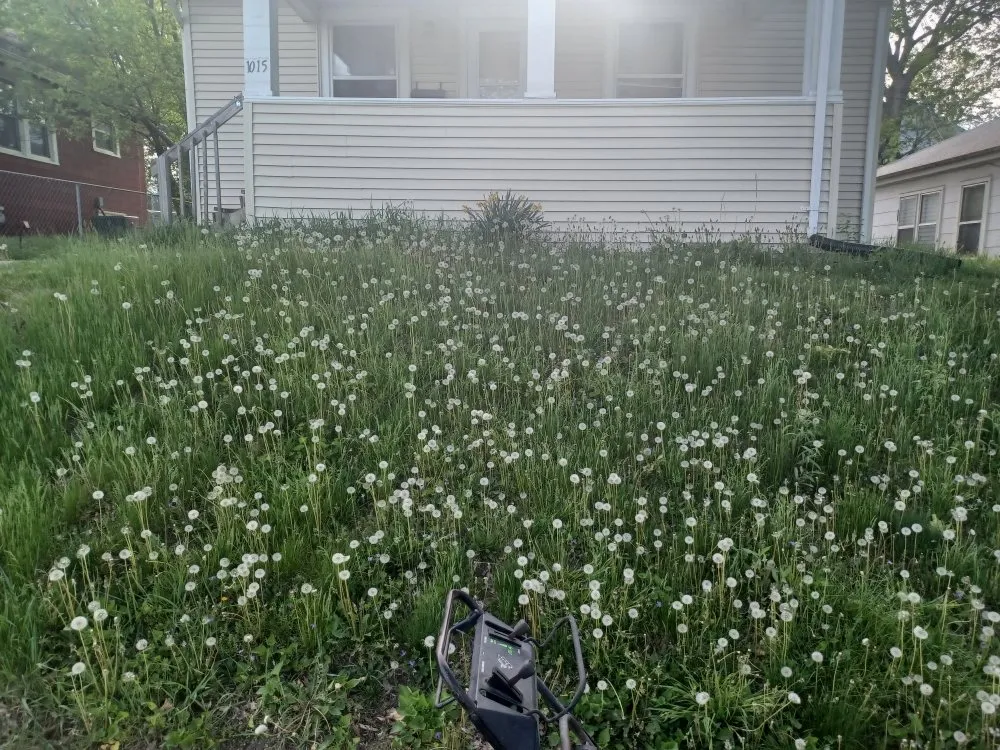 Expert landscape design for homes in Marion, IA by Boss Hogg Power Washing