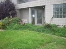 Top-rated yard maintenance near you in Erie, PA by BOSS Landscaping & Snowplow Service