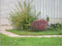 Custom yard maintenance in Erie, PA - BOSS Landscaping & Snowplow Service