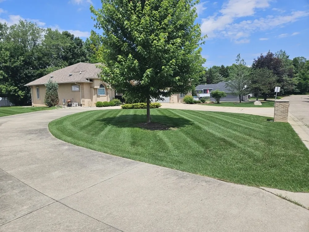 Trusted yard cleanup service in Flint, MI - Boss Lawn Care Service