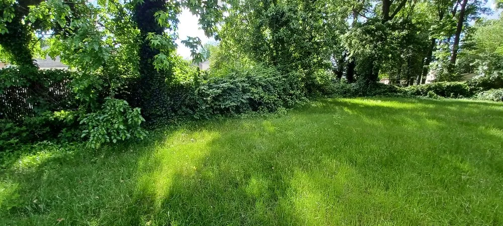 Trusted landscape design for homes in Westville, NJ by Boss Lawn Pros