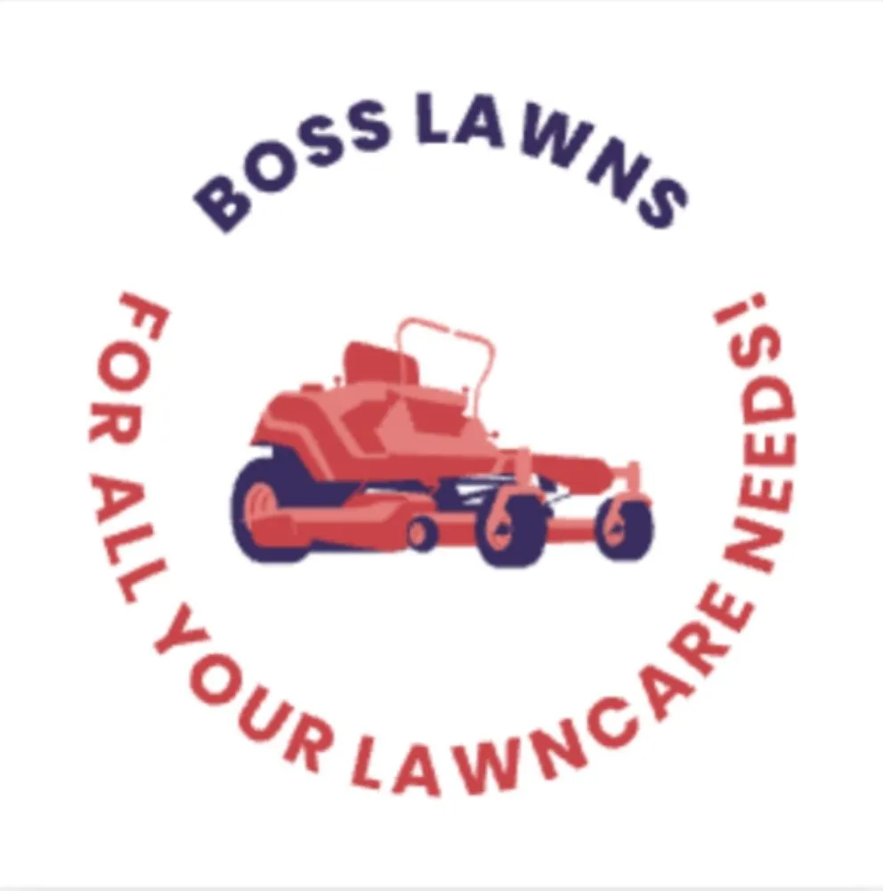 Professional yard maintenance in Minneapolis, MN - Boss Lawns