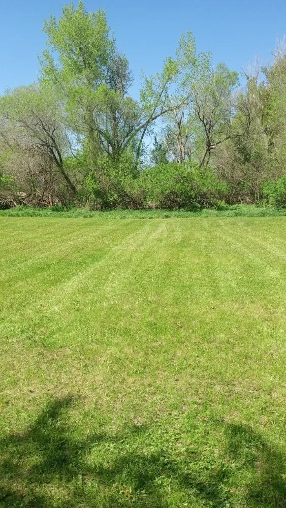 Local lawn care service in Minneapolis, MN by Boss Lawns