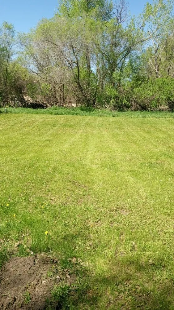 Top-rated yard maintenance for homes in Minneapolis, MN by Boss Lawns