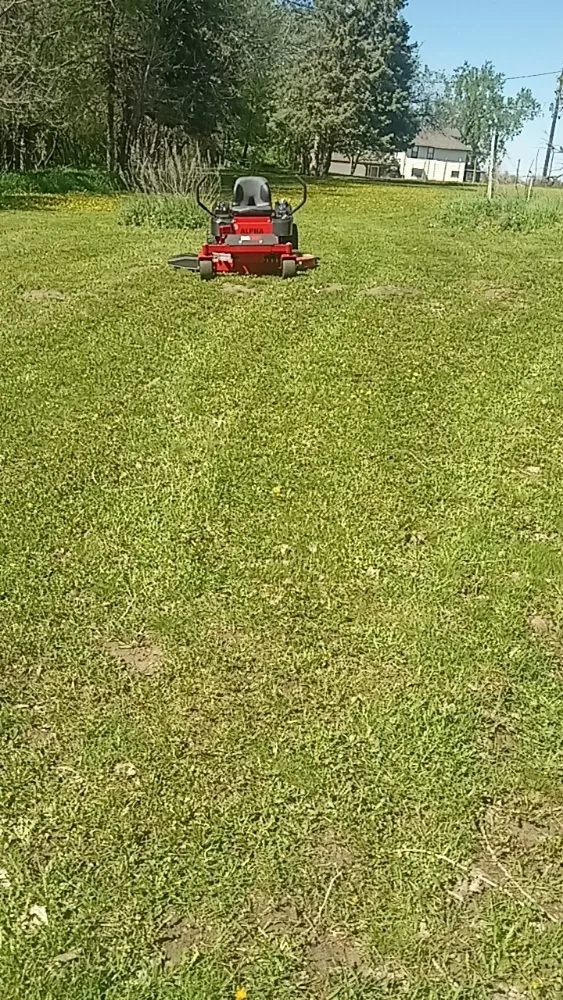 Affordable yard cleanup service for outdoor upgrades across Minneapolis, MN - Boss Lawns