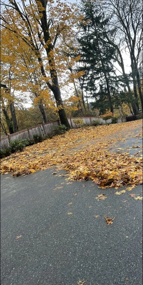 Trusted lawn mowing service for beautiful yards across Des Moines, WA - Boss Mowing Service Landscape