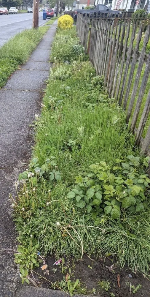 Top-rated outdoor landscaping in Des Moines, WA - Boss Mowing Service Landscape