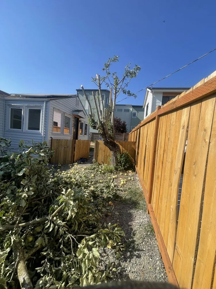 Top-rated yard cleanup service for residential properties in Des Moines, WA by Boss Mowing Service Landscape