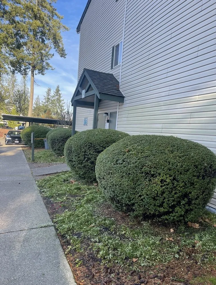 Trusted yard cleanup service for outdoor upgrades across Des Moines, WA - Boss Mowing Service Landscape