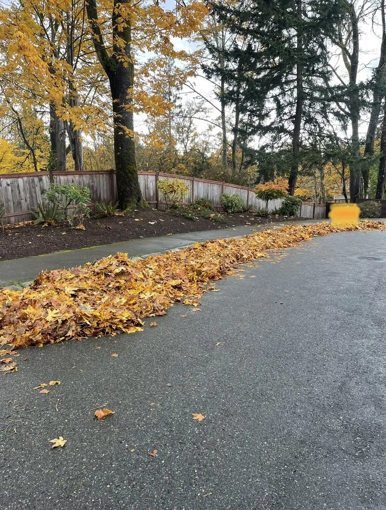 Trusted lawn care service for homes across Des Moines, WA - Boss Mowing Service Landscape