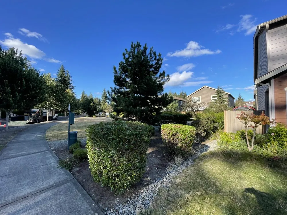 Local yard cleanup service experts serving Des Moines, WA - Boss Mowing Service Landscape