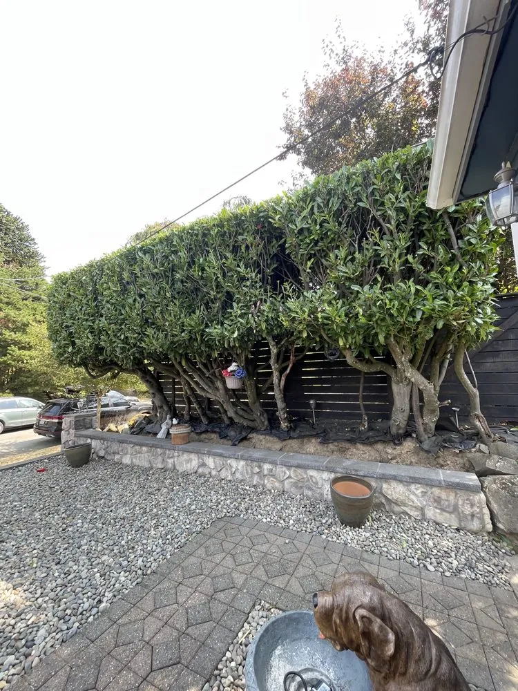 Professional lawn mowing service for outdoor upgrades across Des Moines, WA - Boss Mowing Service Landscape