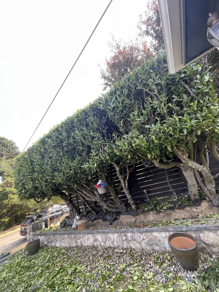 Affordable outdoor landscaping near you across Des Moines, WA - Boss Mowing Service Landscape