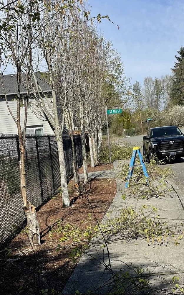 Professional yard cleanup service in Des Moines, WA - Boss Mowing Service Landscape