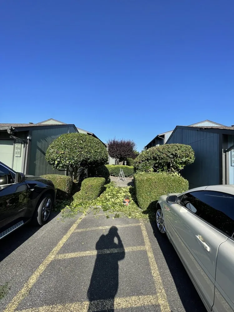 Local garden landscaping for outdoor upgrades in Des Moines, WA by Boss Mowing Service Landscape