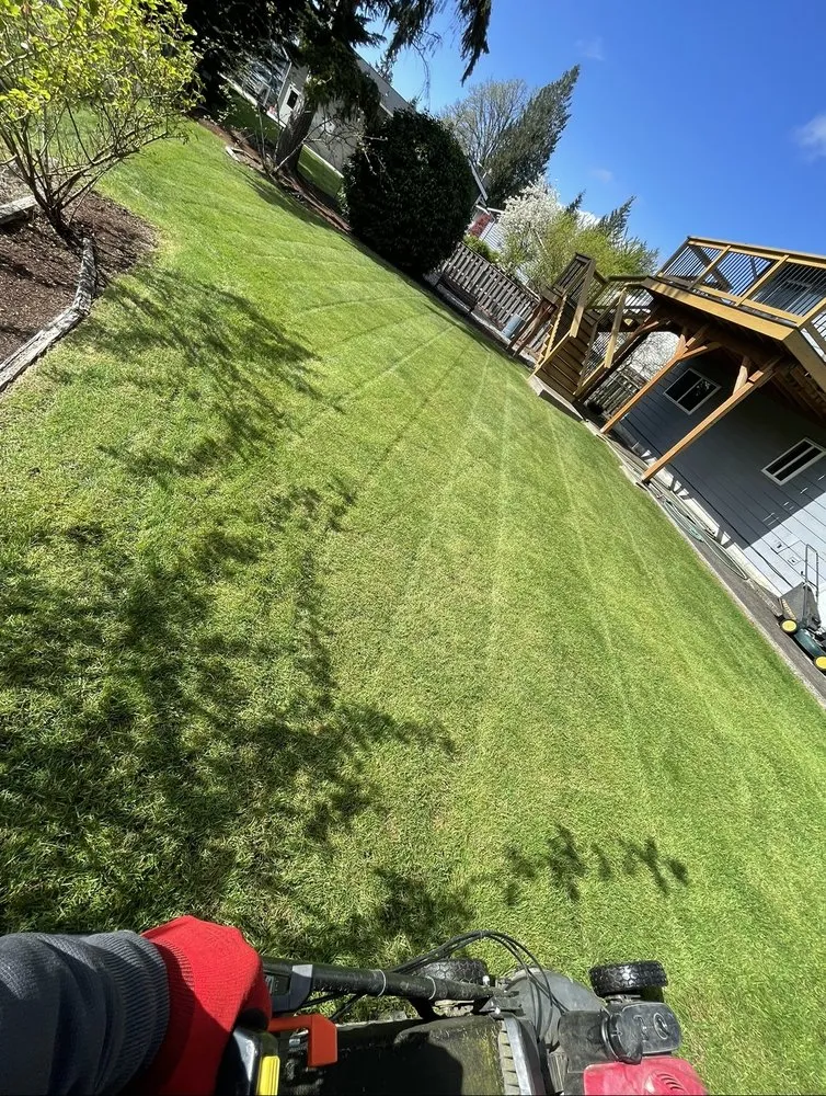 Trusted lawn care service for residential properties across Des Moines, WA - Boss Mowing Service Landscape