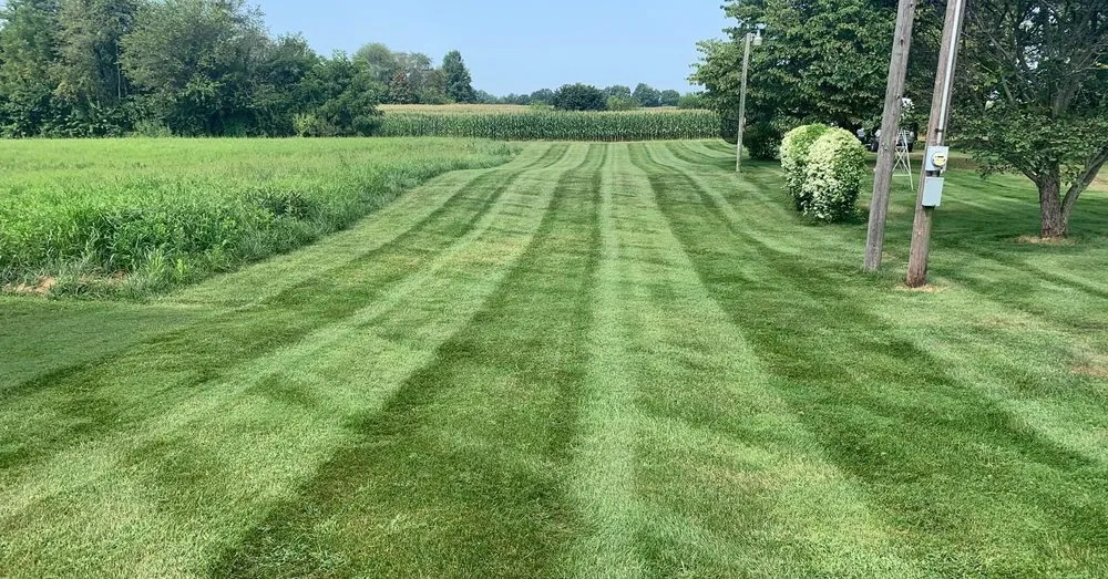 Trusted yard maintenance for beautiful yards across Terre Haute, IN - Boss Pros Lawncare