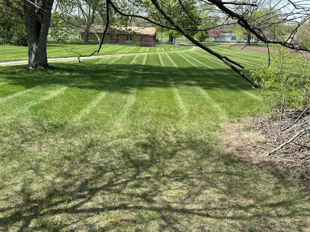 Reliable yard cleanup service for homes in Terre Haute, IN by Boss Pros Lawncare