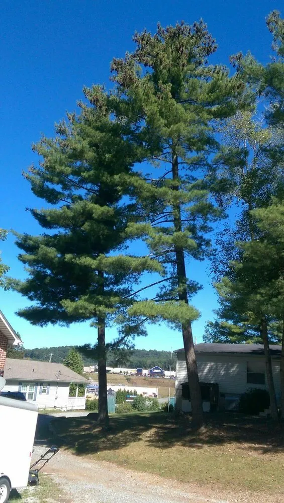 Professional garden landscaping experts serving Beckley, WV - Boss Services