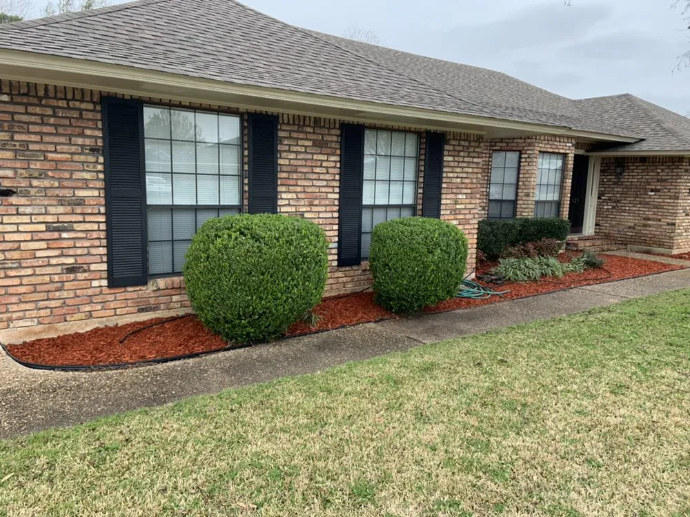 Professional yard cleanup service in Bossier City, LA - Bossier Botanical Landscape