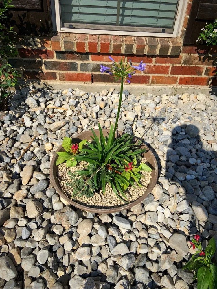 Affordable lawn mowing service for beautiful yards in Bossier City, LA by Bossier Botanical Landscape