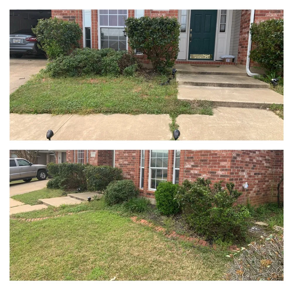 Expert lawn care service experts serving Bossier City, LA - Bossier Botanical Landscape