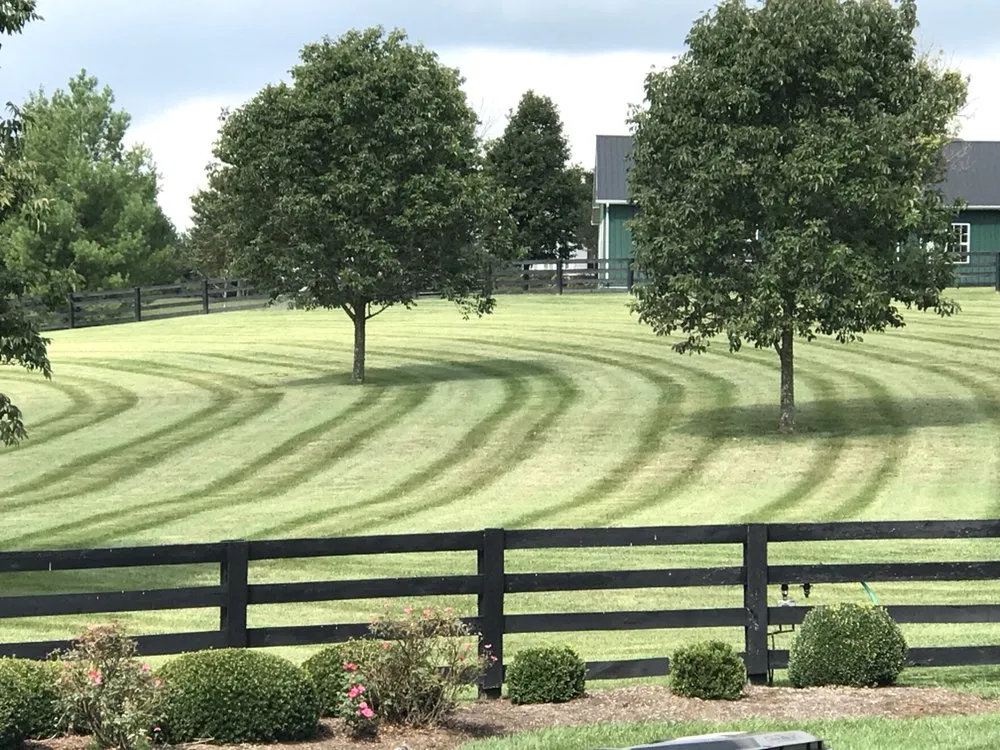 Local outdoor landscaping in Mount Vernon, KY by Bossy Mossy Lawn Care