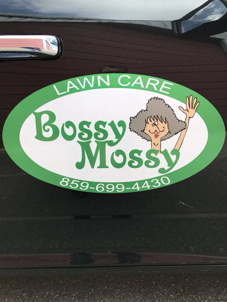 Local yard cleanup service for outdoor upgrades in Mount Vernon, KY by Bossy Mossy Lawn Care