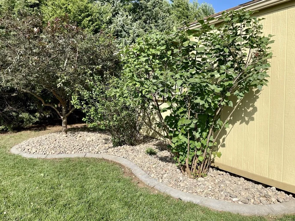 Trusted yard cleanup service near you across Andover, KS - Bossy Oak Landscaping