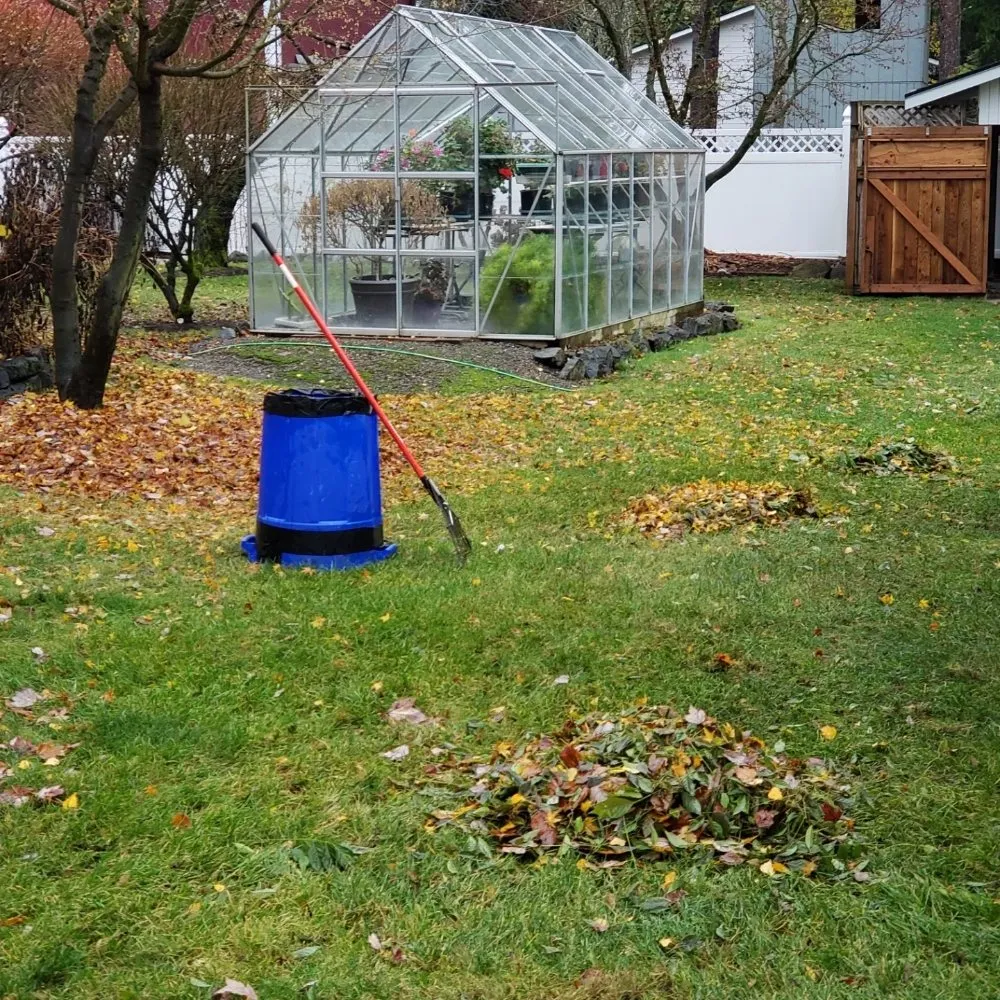 Custom lawn care service experts serving Olympia, WA - Boston Harbor Landscaping