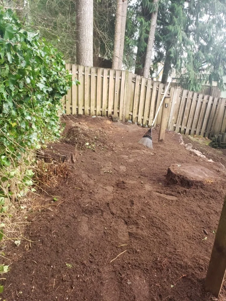 Local yard cleanup service in Olympia, WA - Boston Harbor Landscaping