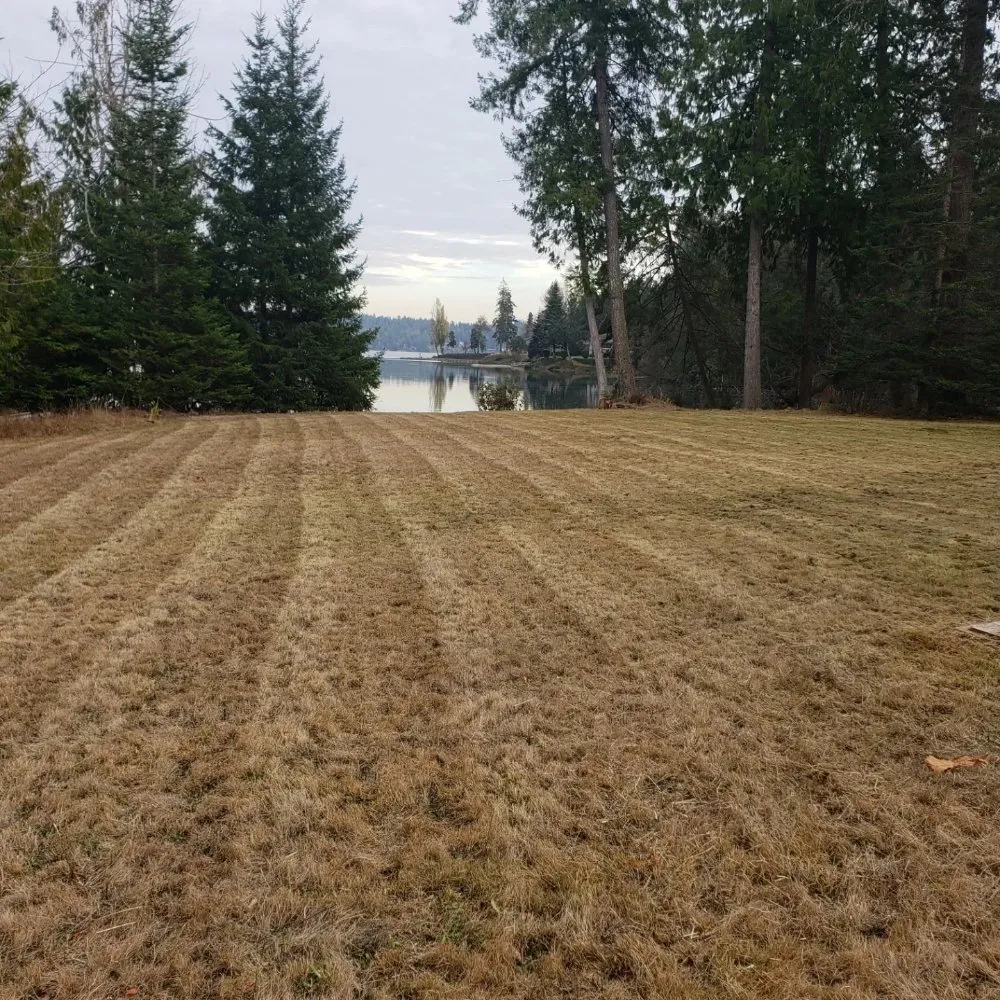 Affordable yard maintenance experts serving Olympia, WA - Boston Harbor Landscaping