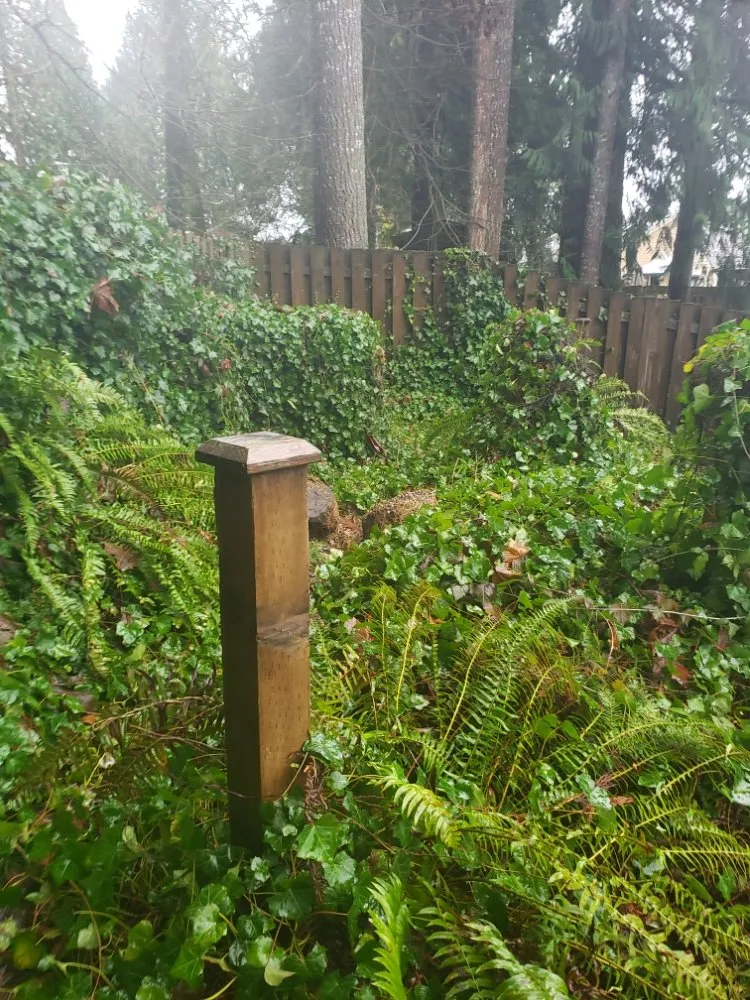 Custom landscaping services in Olympia, WA by Boston Harbor Landscaping