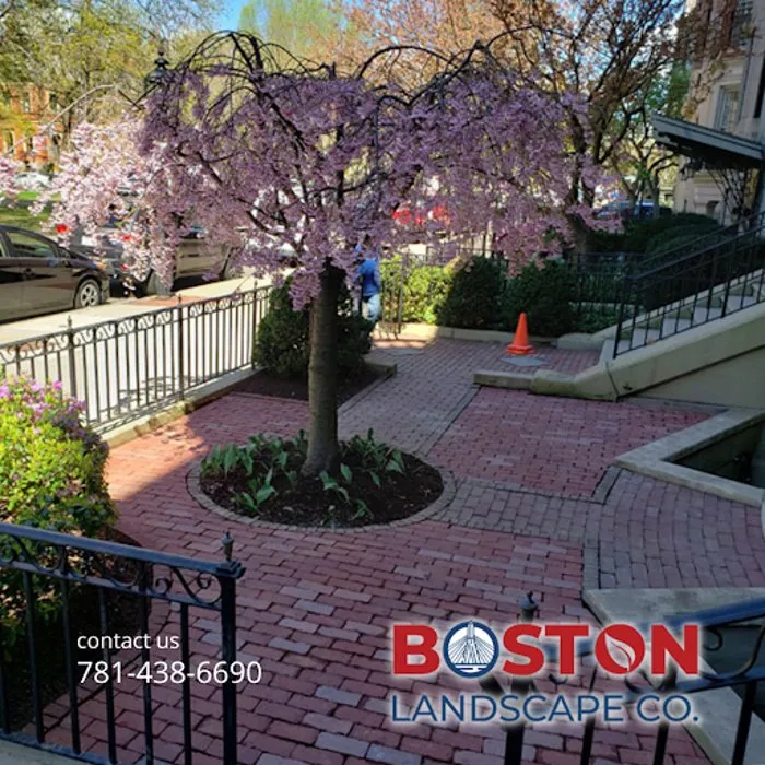 Affordable garden landscaping in Billerica, MA by Boston Landscape